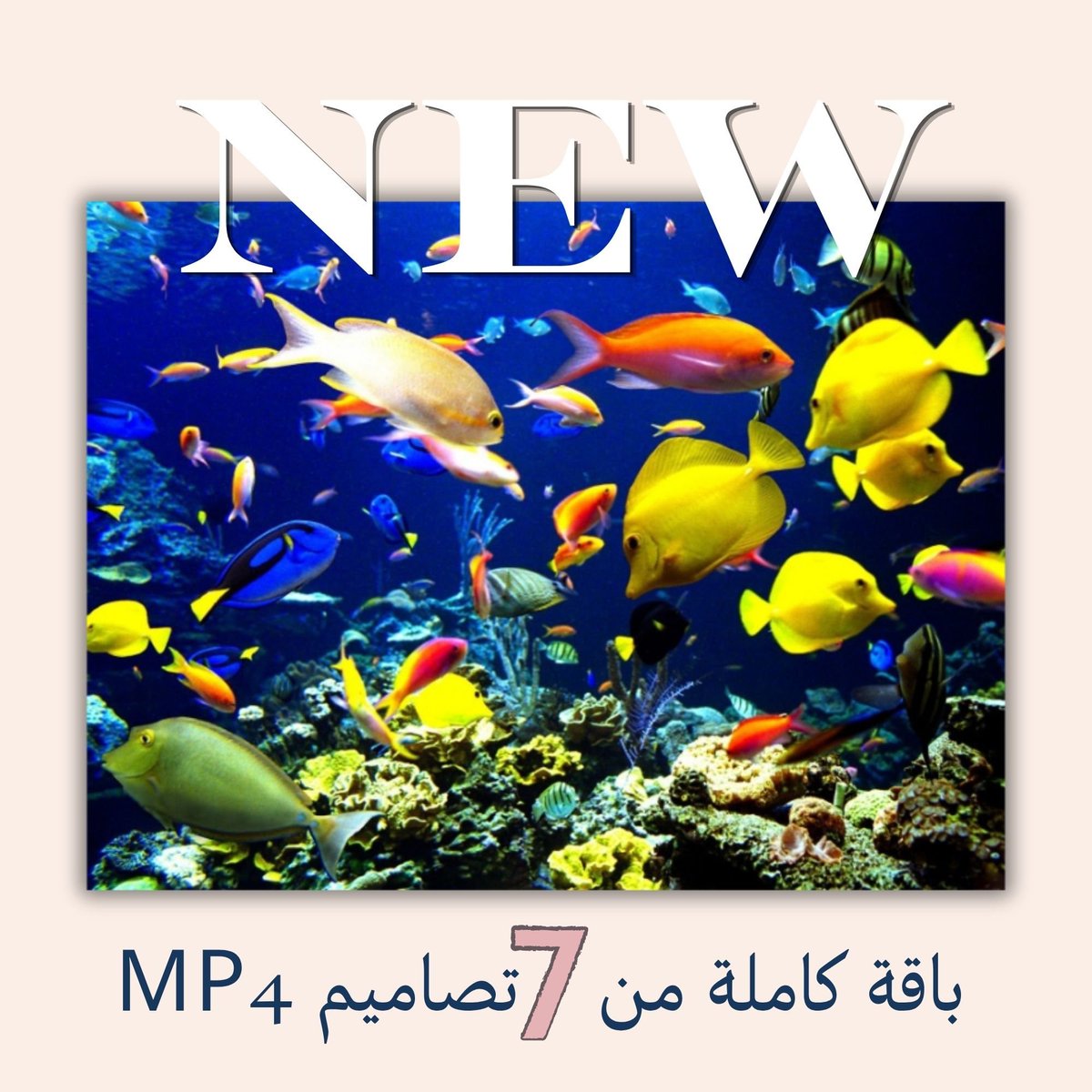 omomar1413's tweet photo. perfect for ads and social media.

✨ 5 seconds is all it takes to get your message across

مقاطع فيديو سريعة، مدة كل مقطع 5 ثوا��ٍ فقط 

مختصرة، جذابة، ومناسبة للإعلانات والسوشيال ميديا.

✨ 5 ثوانٍ تكفي لتوصيل فكرتك.

https://t.co/dTue9ttpF7 https://t.co/n4y0a1ava6