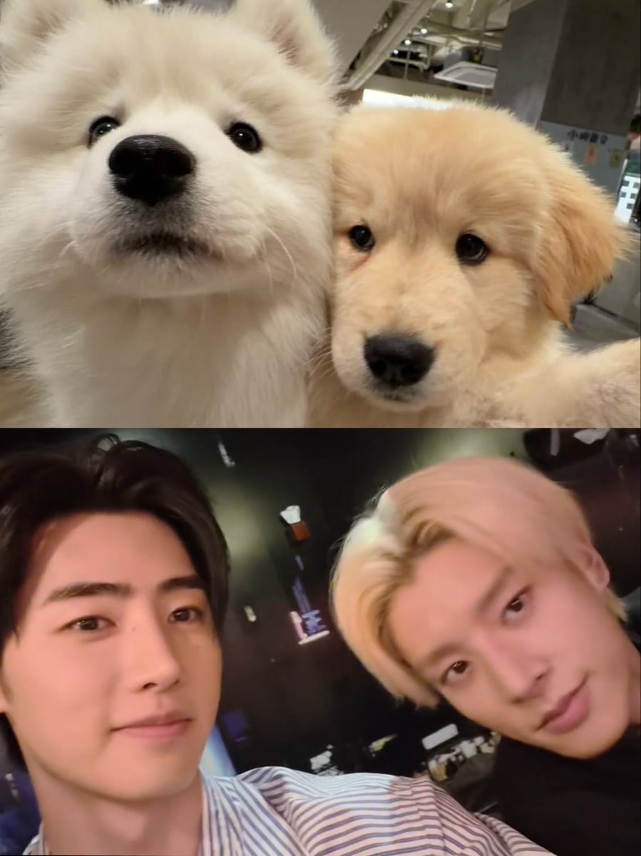 iluvbestseung's tweet photo. เง้อออ น่ารักมากอะ เป้ะเยยน้า 😭🤲🏻 https://t.co/M3nNY2ogmt