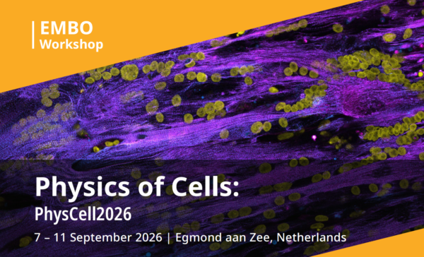 EuroBiophysJ's tweet photo. 🔬 Next week in biophysics!  From biomolecular condensates and synthetic cells to chromosome organisation and cell mechanics - @EMBO 𝐏𝐡𝐲𝐬𝐂𝐞𝐥𝐥2026 🇳🇱 brings together theory and experiment across the physics of living systems.

https://t.co/3uvF0odJ2U https://t.co/eiwkj31IED