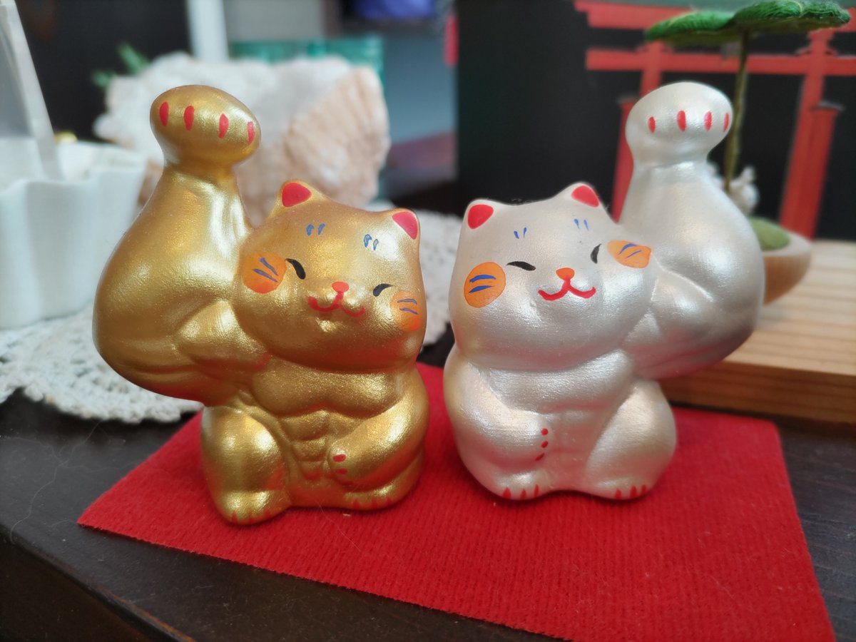 ryocathand's tweet photo. 美容室にムキムキな招きネコちゃんがいました😺 https://t.co/gILoVKYNYL