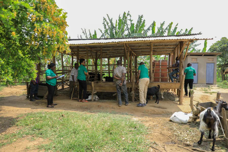 ShandaTyson3's tweet photo. @WezeshaGirls @girlrising @RaisingTeensUg2 @HPRW_Uganda @youthchaperonug @AWYAD_UG @smartgirlsug @GreaterImpactA @karagirlug @HungaCentre @TranscendAfric Our model households act as examples to neighbours that  it’s possible to  improve your livelihood and still protect your girls.

People believe what they see in homes like theirs.

#SRHRAdvocacy #GirlsTakeAction https://t.co/lgCR0XTb5g