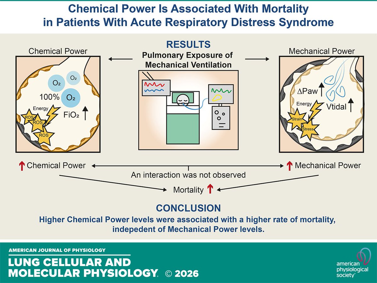 AJPLung's tweet photo. Research Article by TA Lilien et al. Mechanical and chemical power and #mortality in #acuterespiratorydistresssyndrome: an exploratory analysis of six patient cohorts (#ARDS)
https://t.co/sIM6NJRu2y https://t.co/68kHmmfRBV