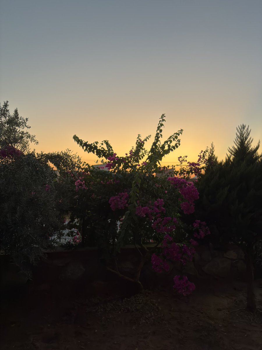 qrunky's tweet photo. Im Urlaub erlebt man die schönsten Sonnenuntergänge. 😉 https://t.co/pIq4xlkhGU