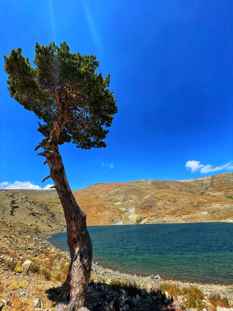 simgeeaksu_'s tweet photo. Biz âşığız, Hakk’tan didar isteriz…🌿 https://t.co/X6GNAk9lMv