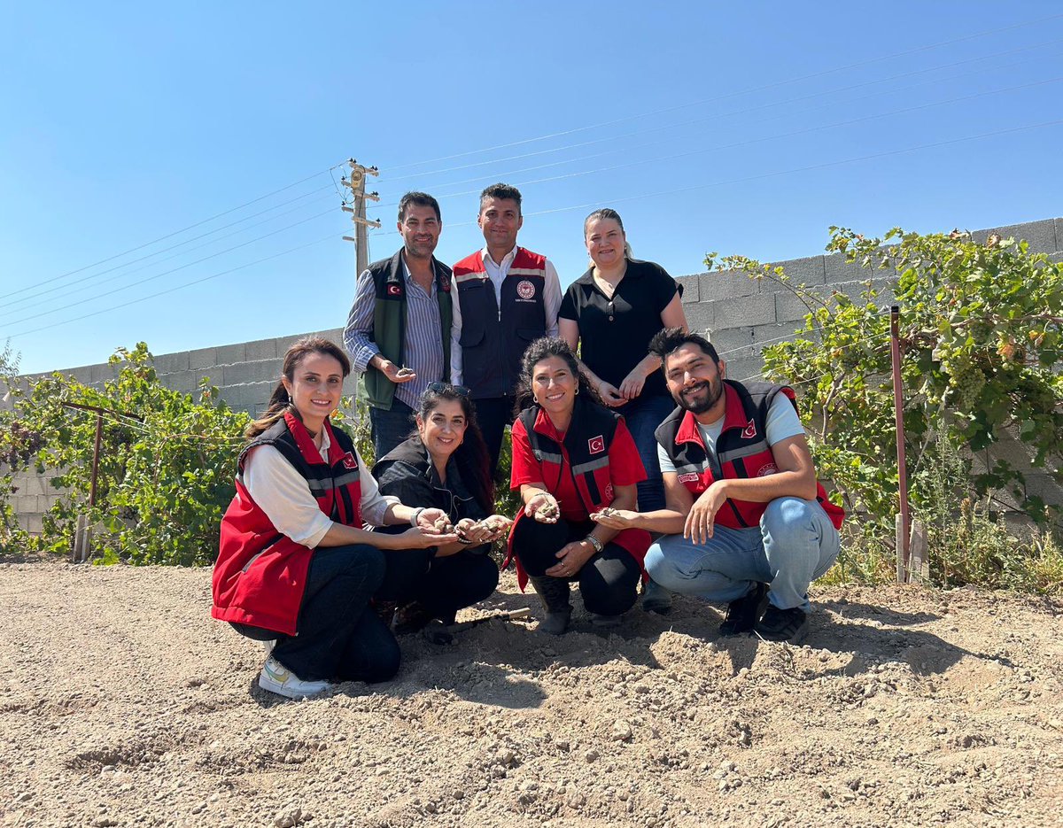 kirsehir_tarim's tweet photo. 🌸 Kırşehir’de “Mor Altın” Kadınlarla Buluşuyor

Bakanlığımız Kadın Çiftçiler Tarımsal Yeniliklerle Buluşuyor Programı kapsamında “Kırşehir’de Mor Altın Kadınlarla Buluşuyor: Safran Yetiştiriciliği Yayım Projesi” ile alternatif ürünlerin yaygınlaştırılması hedeflenmektedir. https://t.co/lbzyY6IBzl
