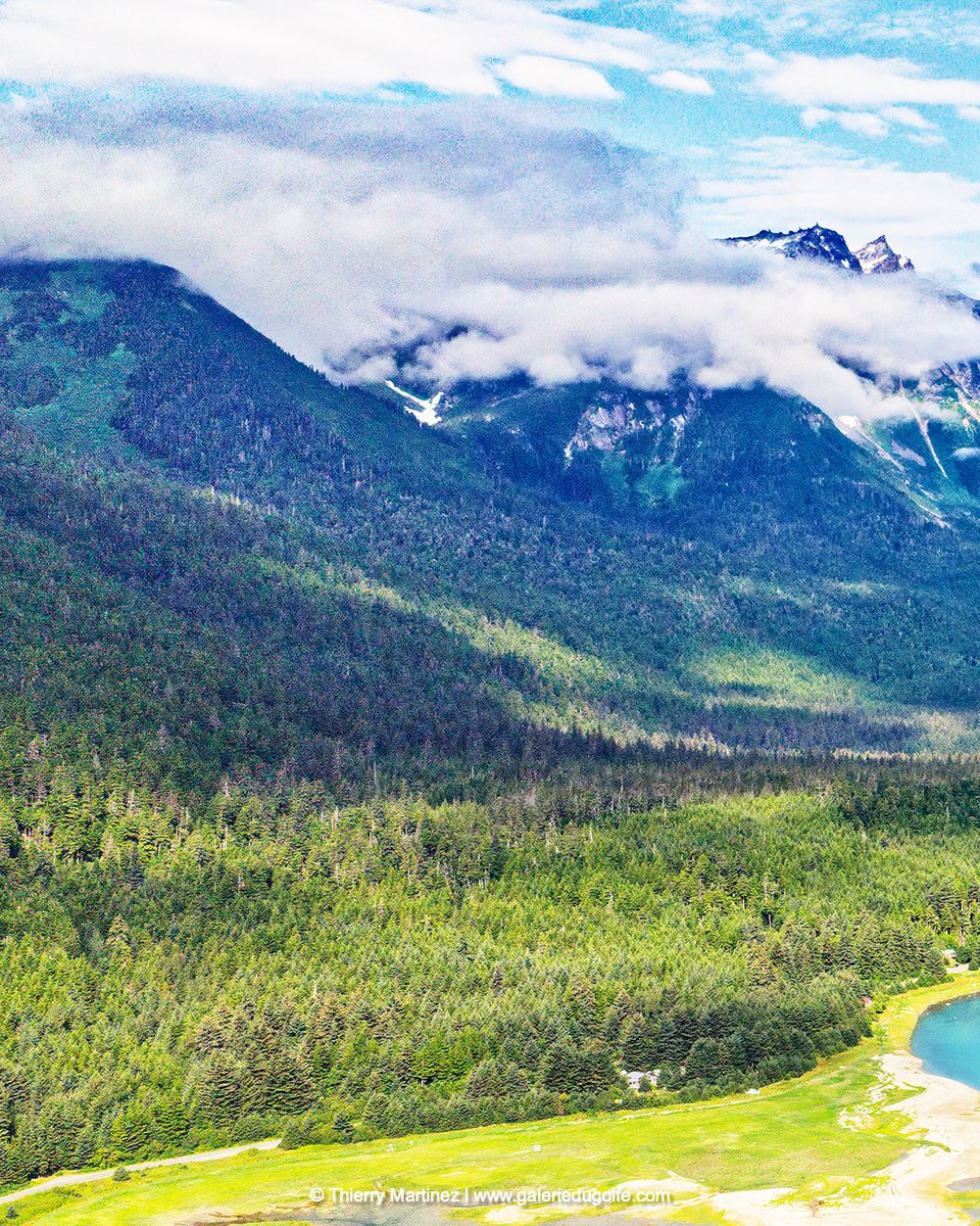 PaulaPerlekat's tweet photo. 1/3 Chilkoot River &amp; Chilkoot Lake, where salmon return and grizzlies and eagles await them… Haines, Alaska, USA. This photo is part of a panoramic image—see all 3 images together on my profile. ©Thierry Martinez https://t.co/NSme3UQ9p1