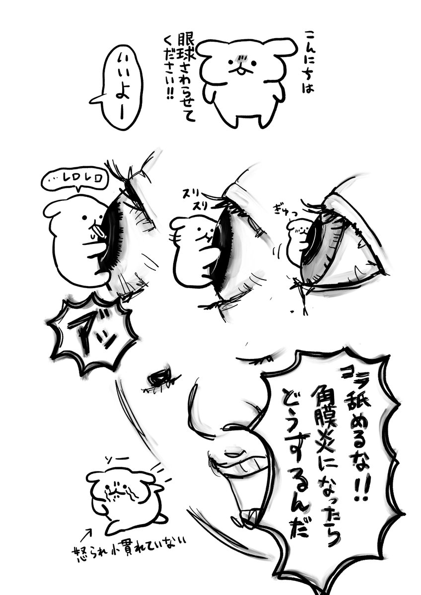 aoki_mofu's tweet photo. 眼球さわらせてください https://t.co/NOpwBYt6Pj