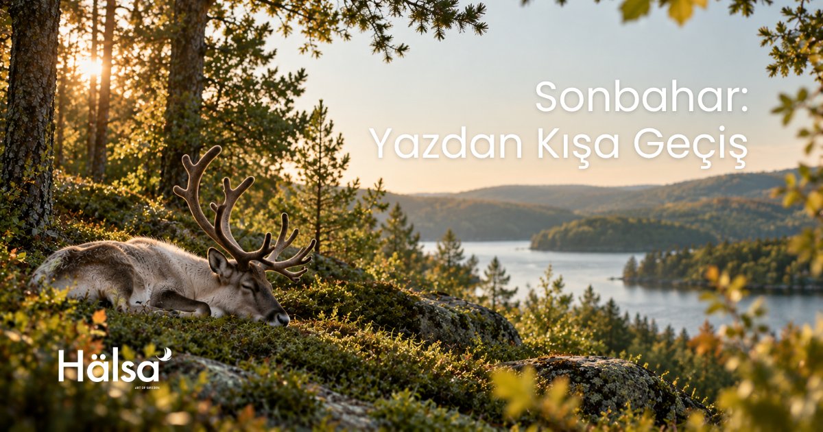 isvecuykusanati's tweet photo. Sonbaharın gelişiyle değişen yaşam alışkanlıklarımız arasında kaliteli uyku her zamankinden daha önemli. 🍂
Güne daha dinç ve enerjik başlamak için doğru yatağın ve sağlıklı bir uykunun gücünü keşfedin. 🌙

https://t.co/bbbD67MOWE 

#Hälsa #SağlıklıUyku #KaliteliUyku #Sonbahar https://t.co/M90xi1Vb8e