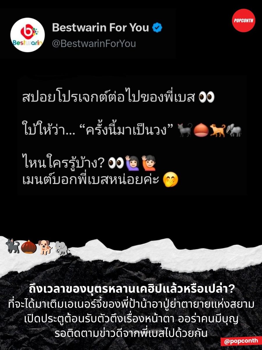 popconth's tweet photo. 🔴 ถึงเวลาของบุตรหลานเคฮิปแล้วหรือเปล่า? 🐈‍⬛🌰🐕🐘 ที่จะได้มาเติมเอเนอร์จี้ของพี่ป้าน้าอาปู่ย่าตายายแห่งสยาม เปิดประตูต้อนรับตัวตึงเรื่องหน้าตา ออร่าคนมีบุญ รอติดตามข่าวดีจากพี่เบสไปด้วยกัน 🔥

Are You Ready? YEAH! YEAH! https://t.co/Nm6tMfI755