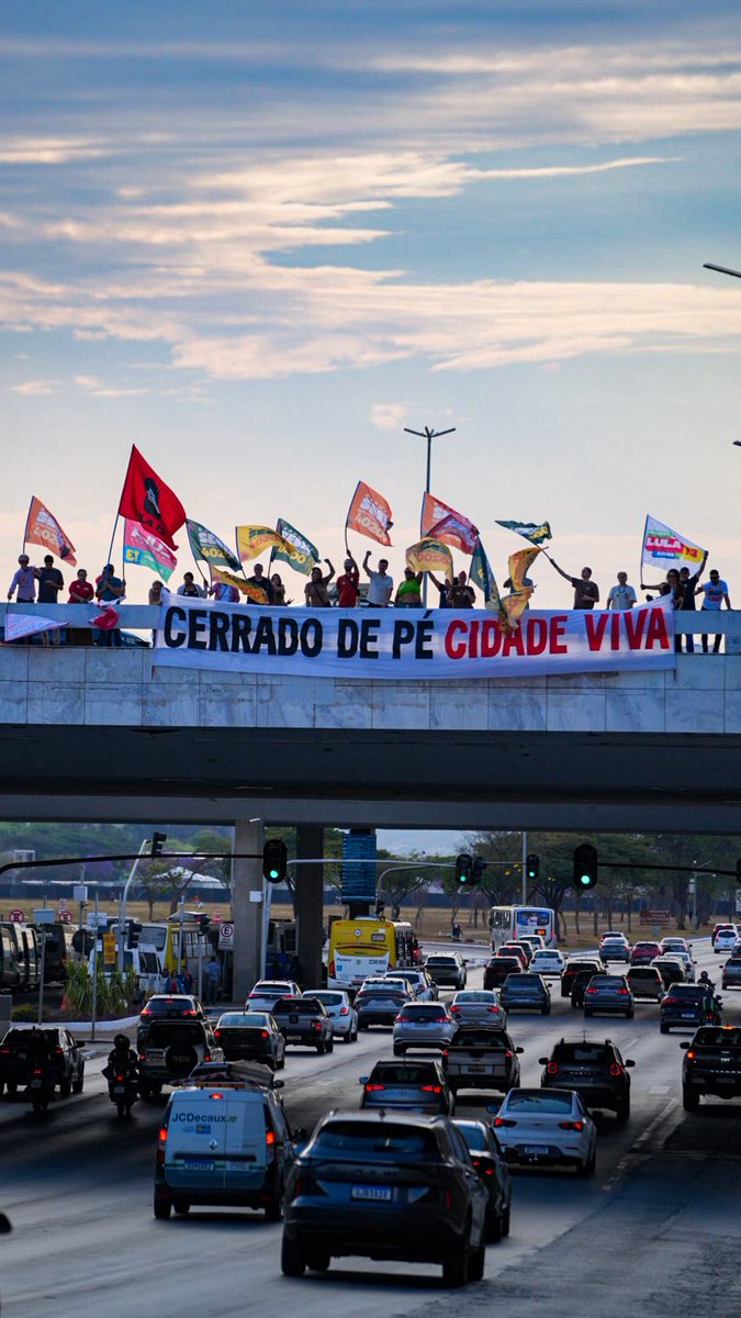 Carlinhavarjao's tweet photo. Não sei onde estava o candidato de vocês hoje de manhã mas o meu tava na rodoviária com uma faixona enorme linda 💚💚💚 @raphaelsebba https://t.co/y4Kx2NQ4lM