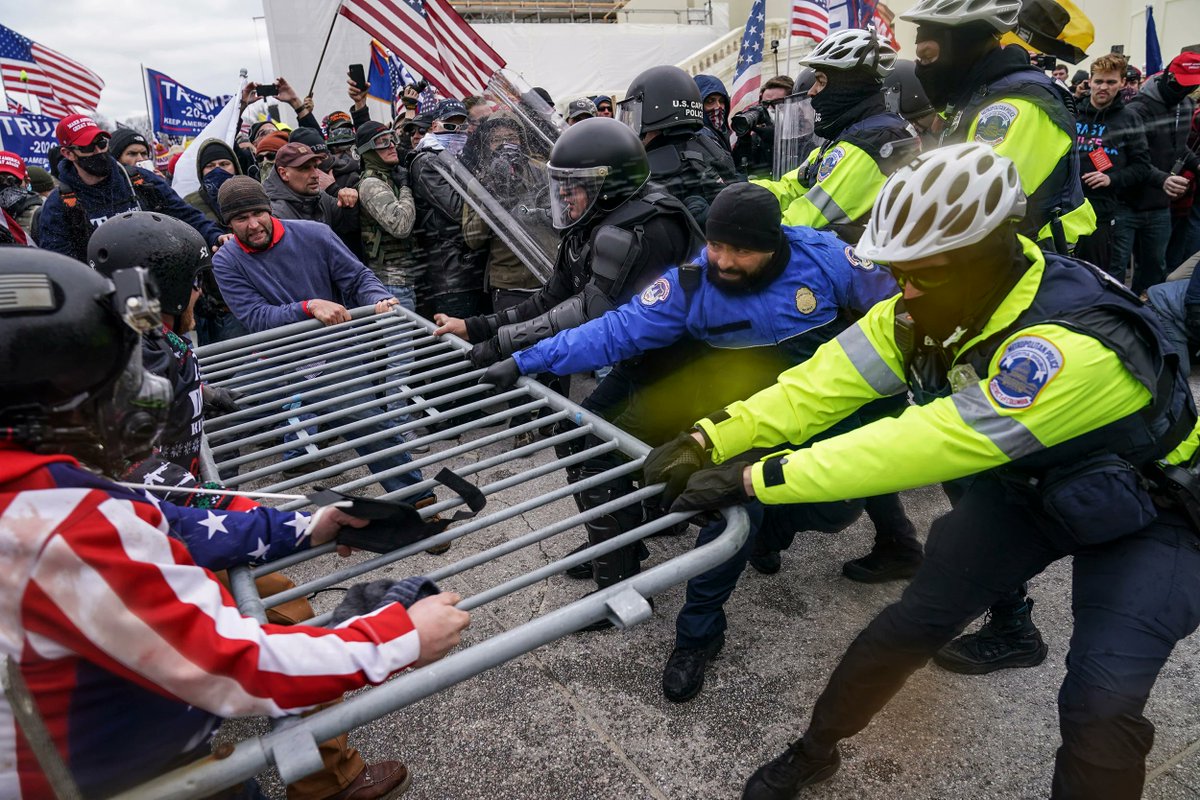gamereibu's tweet photo. NO IT'S MY FENCE, GIVE IT BACK HEATHENS!!! 🇺🇸🦅 https://t.co/DxxozjXy6X
