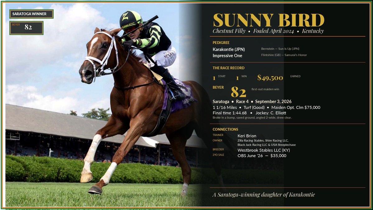DPCbloodstock's tweet photo. Sunny Bird came back yesterday a Saratoga maiden winner, posting an 82 Beyer and an 8 Thoro-Graph. A promising first start for this daughter of Karakontie.
Great job by everyone involved! https://t.co/sAglGHnXZv