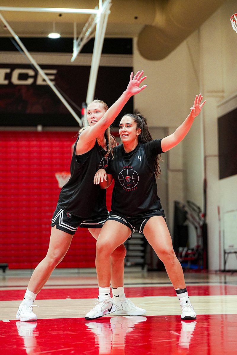 UTampaWBB's tweet photo. Back on the hardwood!
#UTampaWBB🏀 #StandAsOne🛡️ https://t.co/unqUBWVd2L