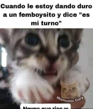 goregoskis's tweet photo. Me empezó a seguir mucha gente y me da miedo lo que esperen de mi https://t.co/zr0jWCfNNy