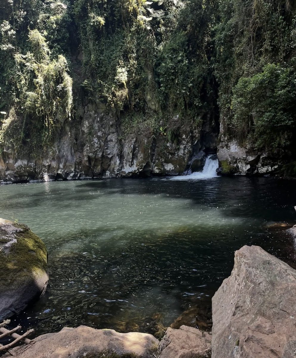 _leftiee_'s tweet photo. Mlango Pool in Kathandeni Forest in Kirinyaga was beautiful.
The guards to us to tell all and Sundry about it.
Please go hike here,you will love it.
You can also carry some snacks to share with the kids and some energizers for the local guides if you can❤️.I had a blast💕 https://t.co/m3ARv8SoKt