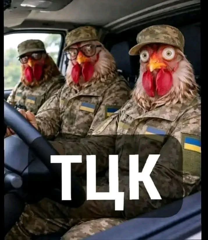 cybercat2023's tweet photo. Дуй, пакуй, смокчи куй https://t.co/k1gtDczTjd