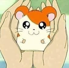 cuddlyheeseung's tweet photo. me with my precious ebanie~~~ 🐹 https://t.co/8THuRWjJrn