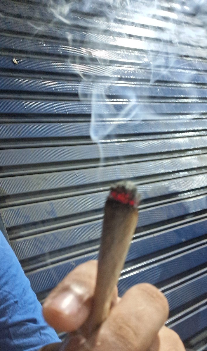 grandelelo's tweet photo. @cannabianalu Fino de skunk https://t.co/NCBz2MPBZ1