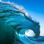 Photo by Pippin Rides Again 🌊 🌊 🌊 (@PippinResists)