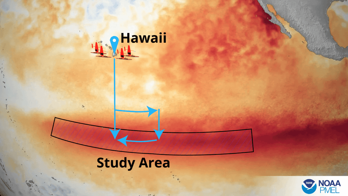 Four instrumented uncrewed surface vehicles were deployed from Hawaii to the equatorial Pacific ocean in August to
monitor the growing strength of El Niño. Credit: Pacific Marine Environmental Laboratory