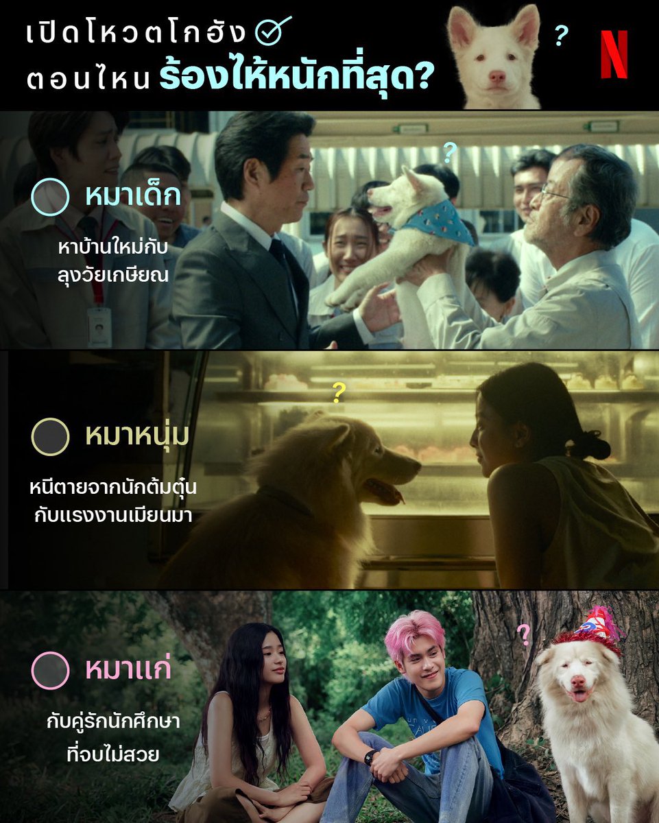 AnjaOsterb5jl's tweet photo. 🍬ᦃꞋꞌ Netflix 4K⭐️🛼
𓄶 จอส่วนตัว รับเคลม ล็อกจอ
 
🏖️1day รีเหลือ 9 B.            Tv 15 B.
🪼 7day    รีเหลือ 25.B.     Tv. 35B.
🌊30day รีเหลือ 69 B.      Tv 79. B.

🛒🪜: 🆔 @320vylut (มี@)

 #หารเน็ตฟลิกซ์ #หารnetflix #เน็ตฟลิกซ์ราคาถูก 168 https://t.co/3v1SW8btmH