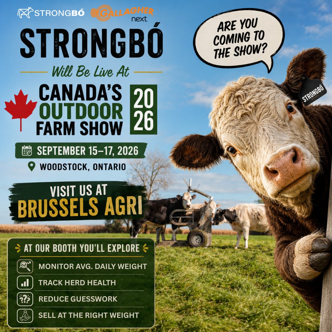 STRONGBO_'s tweet photo. 🐂 How often do you really know what your cattle weigh?

If the answer is "not often enough," let's talk. 

See how automated weighing helps producers make smarter, data-driven decisions.

📍 Visit StrongBo at the Brussels Agri booth

📅 Sept 15-17 | Woodstock, ON

#COFS2026 https://t.co/MA0Avu5uZ0