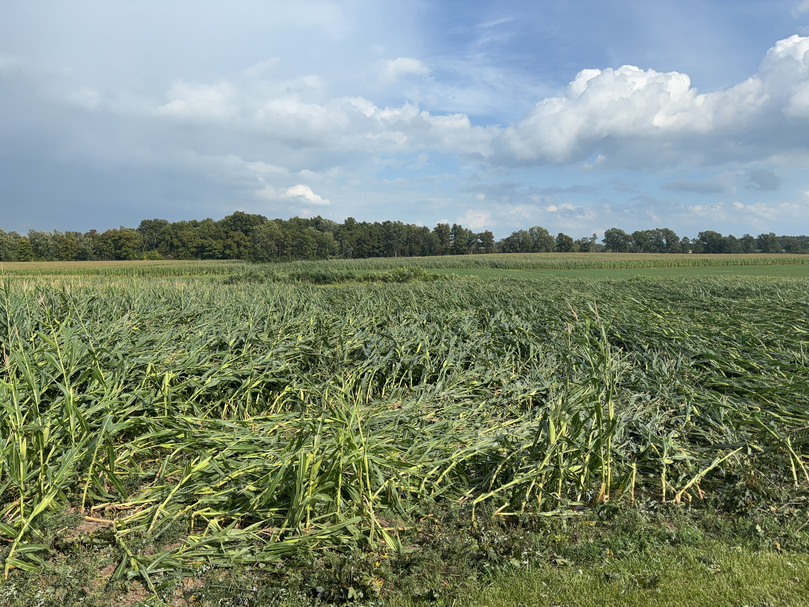 NickKrasz_Wx's tweet photo. – Damage Survey Update –

The tornado that struck Fayette, New York, on September 2 has been rated a low-end EF2, with estimated peak winds of 115 mph, according to the National Weather Service in Binghamton, NY.

The EF2 rating was based primarily on tree damage and the destruction of an outbuilding.