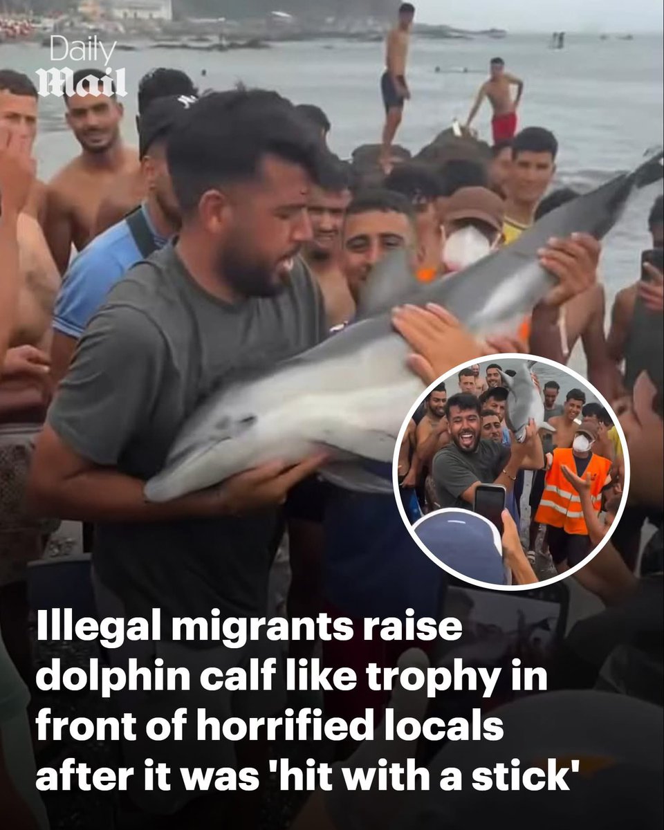 domdyer70's tweet photo. Appalling senseless cruelty 

Horrific footage appears to show illegal migrants in the Spanish enclave of Ceuta capturing a young dolphin swimming in shallow waters, hitting it with a stick and possibly killing it.

The video shared online shows a group of men crowd around the animal and lift it above their heads like a trophy as onlookers cheer – before enraged locals confront them.