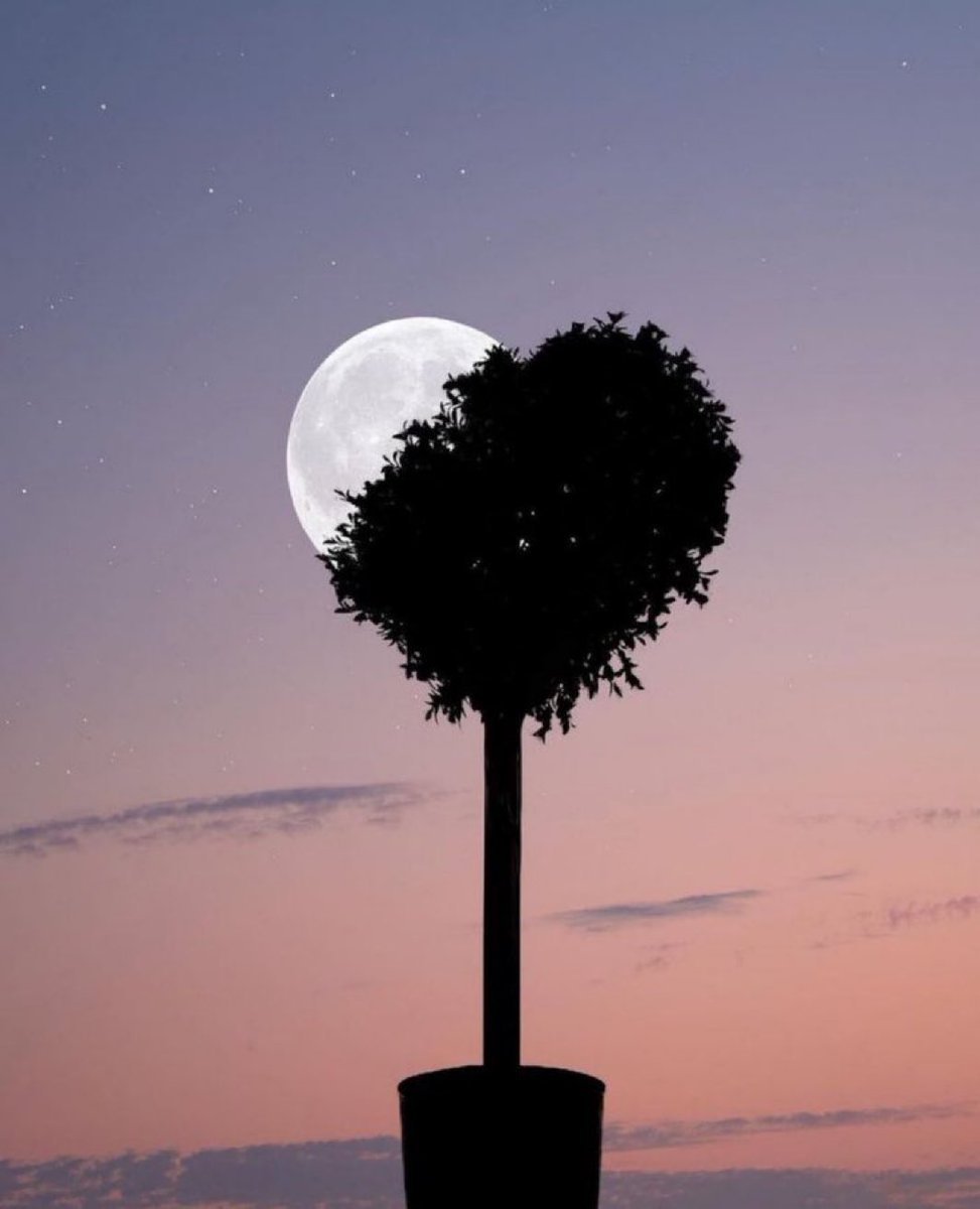 Moon4pics's tweet photo. https://t.co/VITKwIZ2g2