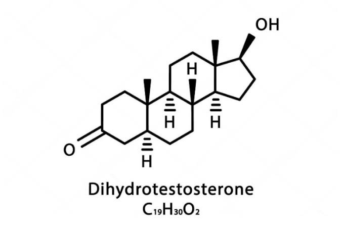 gaezpeat's tweet photo. Low-dose DHT (0.75mg/day) was nephroprotective (kidney protective) in diabetic rats 

It cut albuminuria by 67% and glomerulosclerosis by 61%

It also reduced fibrosis, apoptosis, and inflammatory markers https://t.co/0lSIUDKomi