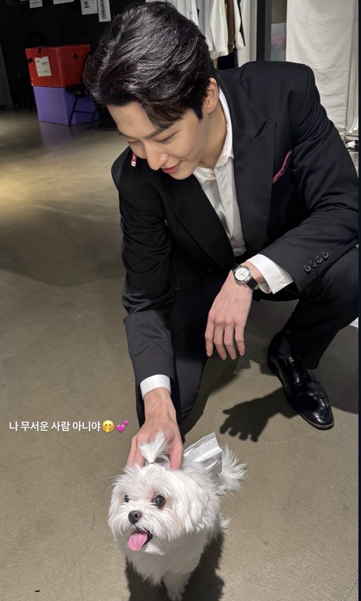 jety_916's tweet photo. 진짜 너무 기여워!!!!!!!!!!!😫🐶💕 https://t.co/bHjjCqt2sc