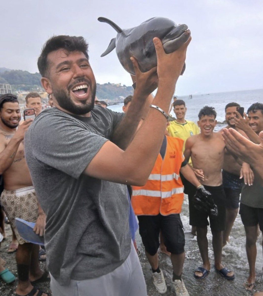 EvacTony's tweet photo. Imagine taking a baby dolphin from the sea, parading it around until it died and being happy about it. 

These people are not like us, I want nothing to do with them, I don't want them near where I live, I don't want them to come to Britain.

Unless the right unite thousands will.  #Ceuta #Reform