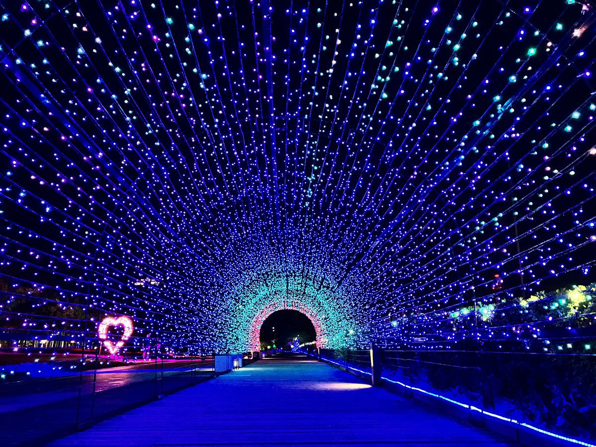 piyomi48's tweet photo. \#映え はここ！/
📍朱鷺メッセ信濃川沿い
⏳日没〜22:00
#新潟 #万代島 #朱鷺メッセ #万代島の歩き方。https://t.co/uZAc1166Es https://t.co/ktJpkOjOmN