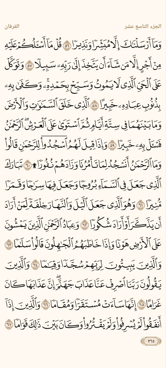 AlMosahf's tweet photo. ورد الاثنين https://t.co/MMVkID942L
