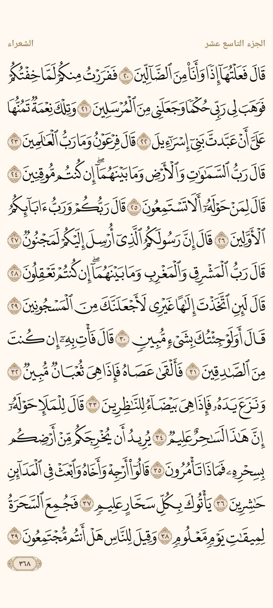 AlMosahf's tweet photo. ورد الثلاثاء https://t.co/vucoz91UfC
