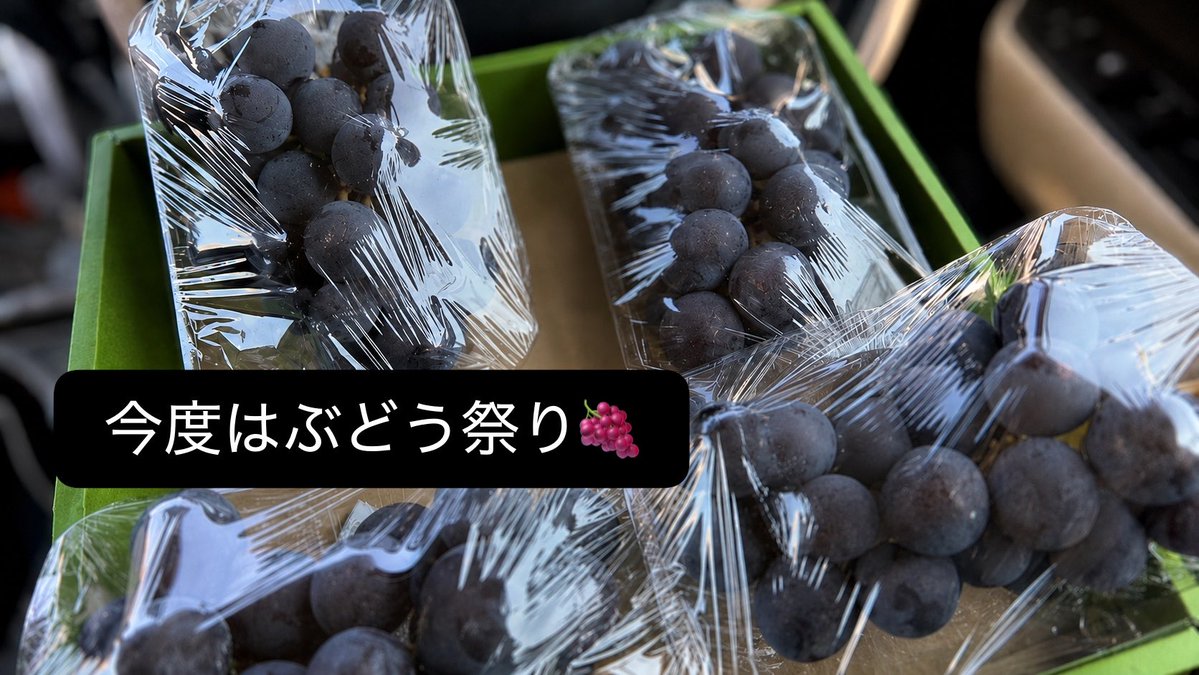 tamer_junta's tweet photo. 今年は致死量のもも祭りしたので、今度はぶどう祭り開催中🍇
地元はフルーツに困らなくてありがたい🙏 https://t.co/l53H6H7i3S