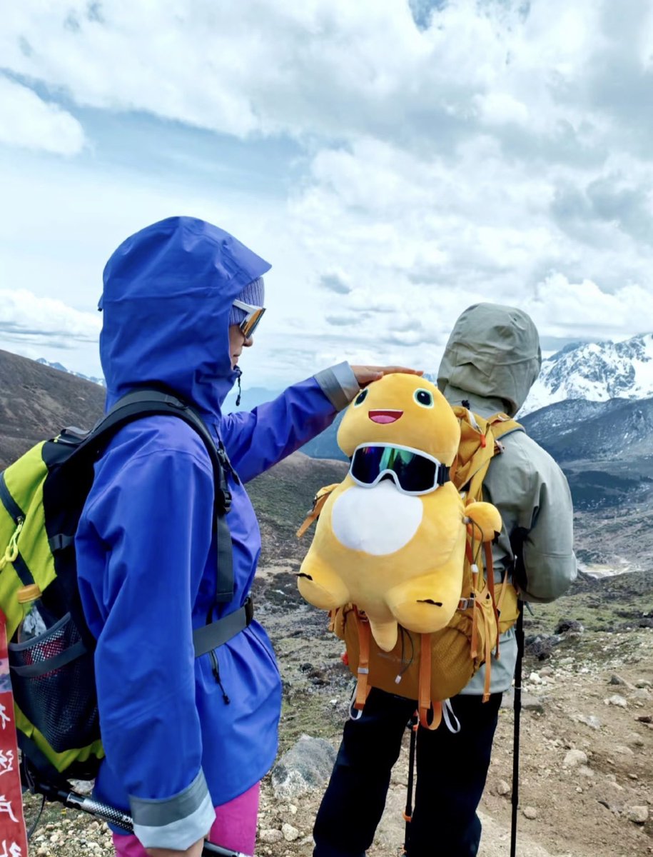 nailongbinance's tweet photo. long way to the top, but nailong is built for it. https://t.co/lsgKTzC6gX