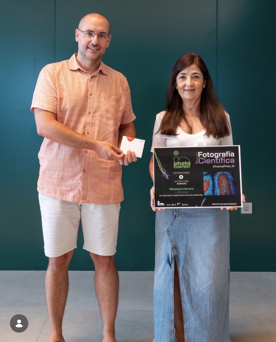Satdi_UMH's tweet photo. 🎉 ¡Grandes noticias en el #SATDI! Enhorabuena a nuestra compañera Macarena Herrera González de la Higuera por obtener la Mención Especial del Jurado en la 5.ª edición de #SciencePhoto_IN con su obra “Lobes of little brain”. 🧠✨ ¡Todo un orgullo! 👏 @NeuroAlc @umhsapiens https://t.co/6UWVDihbxR