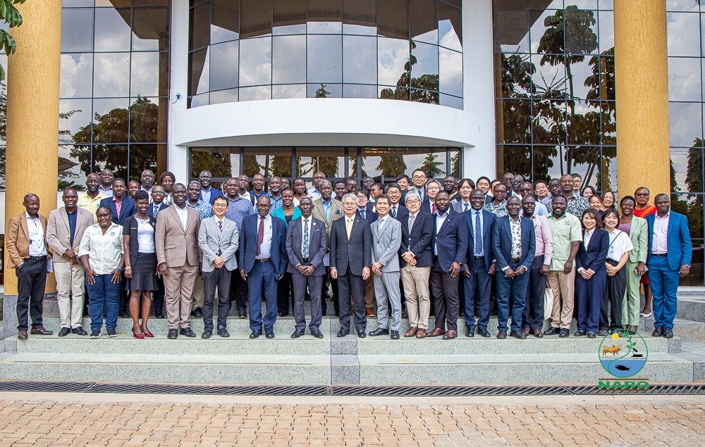 NARO_NaCRRI's tweet photo. Today marks a historic milestone for agric research in UG!

@NAROuganda @JicaUganda  @JapanEmb_Uganda &amp; Kagoshima Uni officially kicked off the groundbreaking DREAM Rice at @NaCRRI

This initiative is pioneering multi-harvest, perennial rice, setting a new foodsecurity precedent. https://t.co/rSuQTGfiWq
