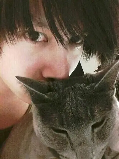 sujusapphire59's tweet photo. So heart-breaking. ELF are here for you Heechul.😢😭😭😭😭
💙We remember and will always have him in our hearts.💙

Heebum will always be incredibly beloved by the fandom. Heechul received his famous Russian Blue cat, Heebum, as a gift from his fan club, ELF, in late 2006.

In August 2006, Heechul was involved in a severe car accident that left him with a fractured left leg, requiring major surgery and metal rods to be inserted.
 
While he was away from home for schedules, his previous Russian Blue cat, Yamchae, ran away. To comfort him and help him heal, ELFs gifted him a new Russian Blue kitten born on September 11, 2006.

The cat's official full name is HanJay HeeBum. It was named by combining the names of four close friends and roomates at the time: Han Geng, Jay Kim (from the band TRAX), himself and Kibum.
Source: https://t.co/Q7OWDMrMhi