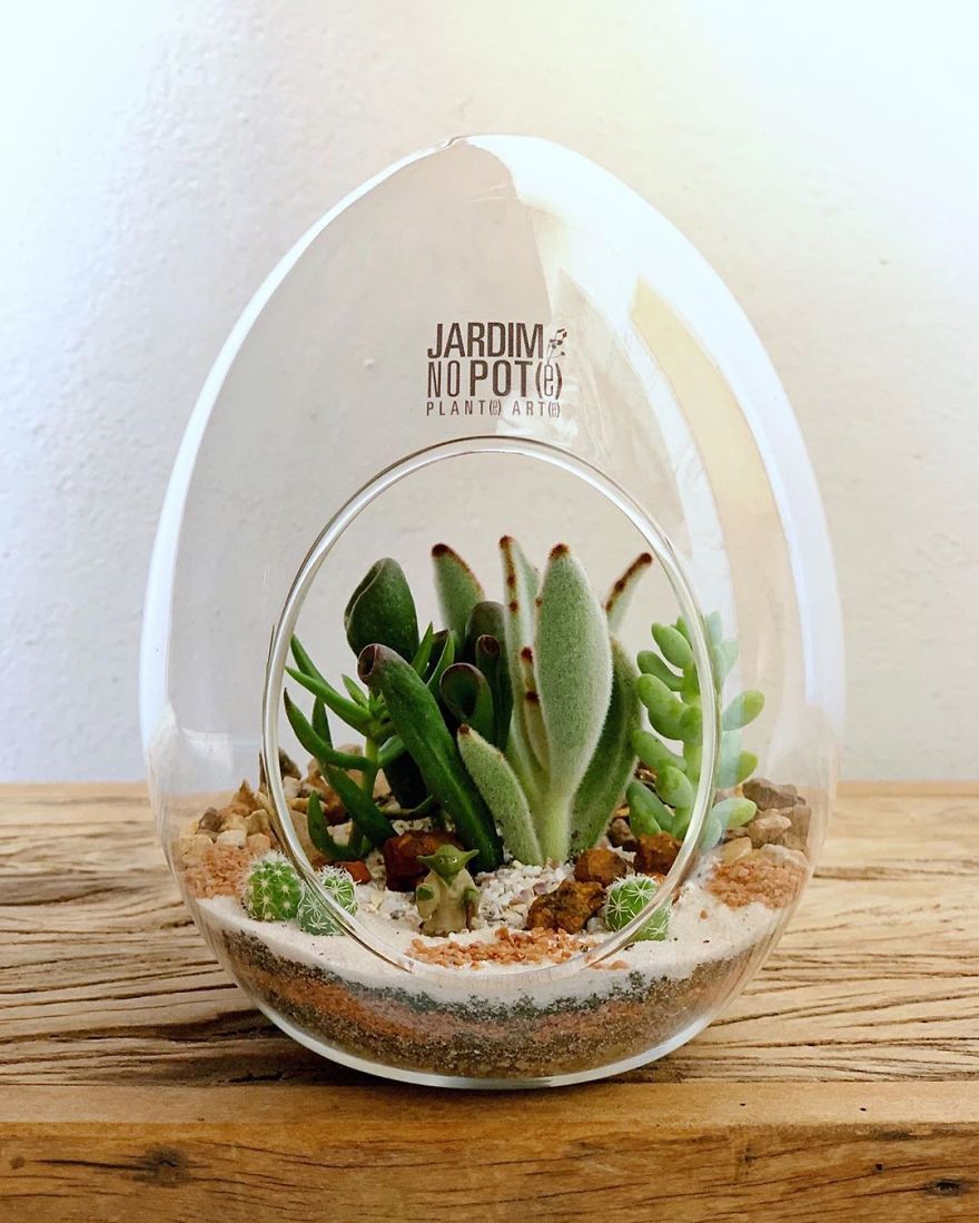 marip773738's tweet photo. Got an old jar Turn it into a succulent planter with just paint u0026 sand—super easy weekend DIY! https://t.co/QIAWHFuOqi
