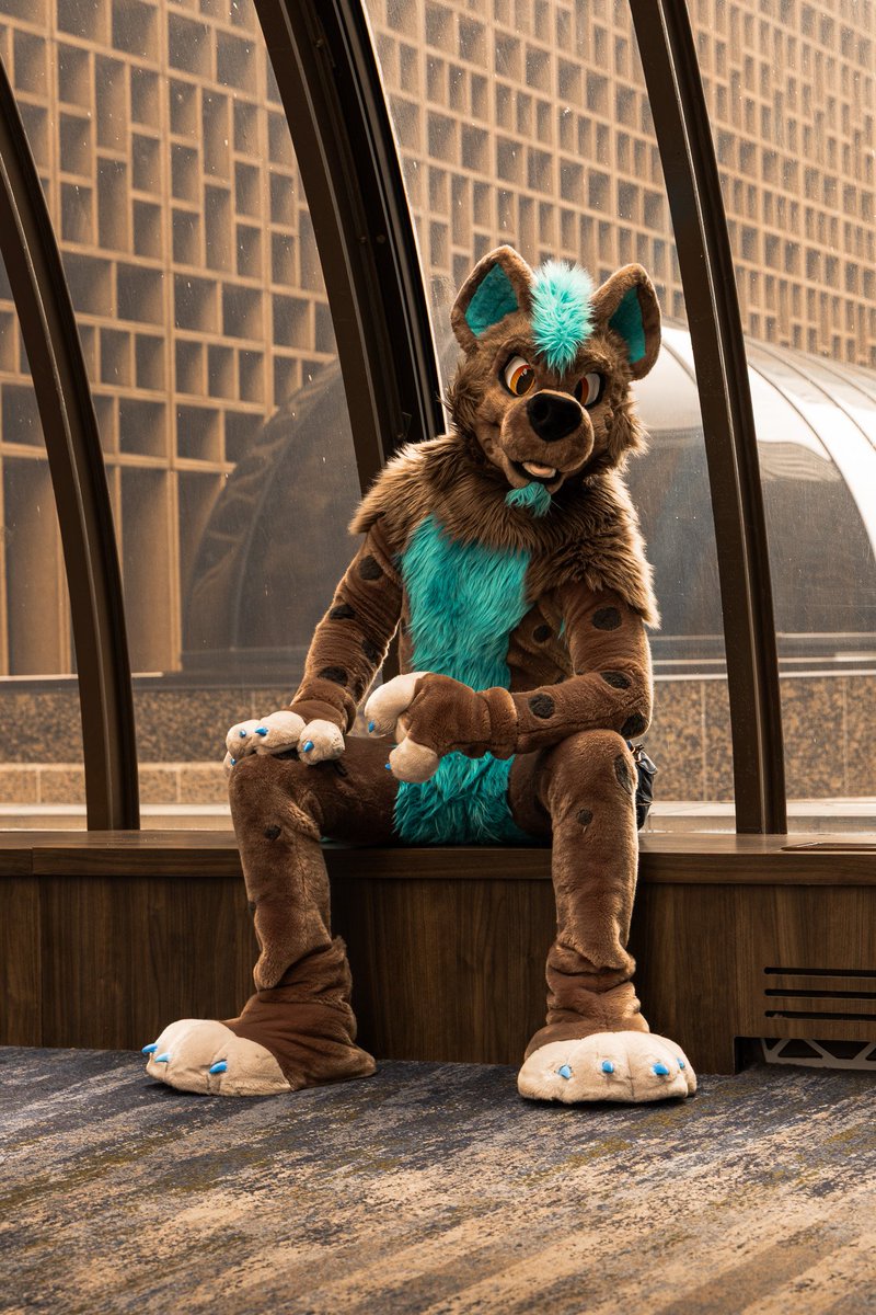 TaurineYeen's tweet photo. Fursuit Friday? Fursuit Friday. https://t.co/CsEnNhCkpp