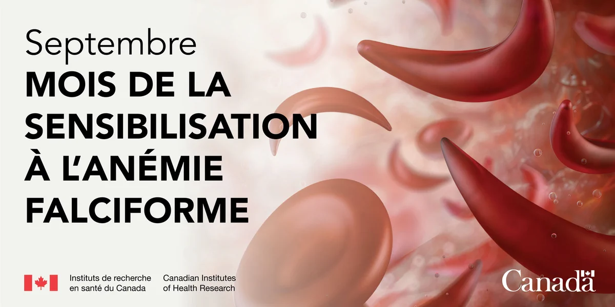 Septembre : Mois de la sensibilisation à l’Anémie Falciforme