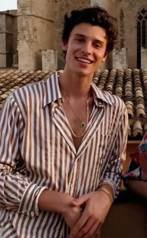 shawnmndessa tweet picture