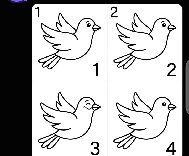 SundayVictcw8v's tweet photo. What is the difference https://t.co/96vslOlkLW