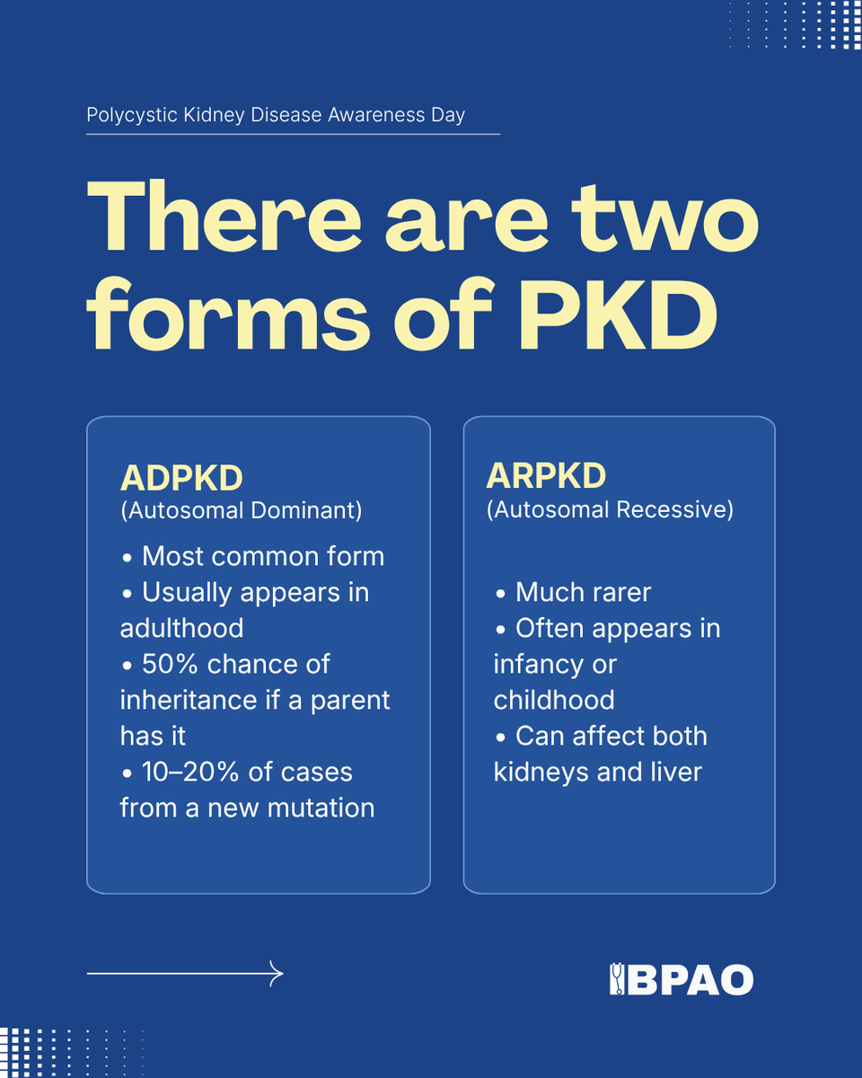 thebpao's tweet photo. How much do you know about Polycystic Kidney Disease?

Swipe through for the signs, risk factors, and key facts to know this #PKDAwarenessDay. 🩺 https://t.co/jQjKOrfoQm