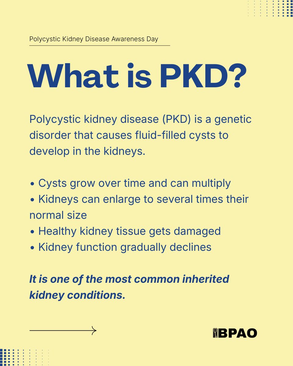 thebpao's tweet photo. How much do you know about Polycystic Kidney Disease?

Swipe through for the signs, risk factors, and key facts to know this #PKDAwarenessDay. 🩺 https://t.co/jQjKOrfoQm