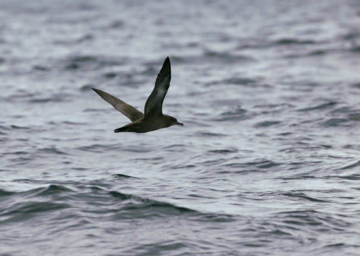 seastatezero tweet picture