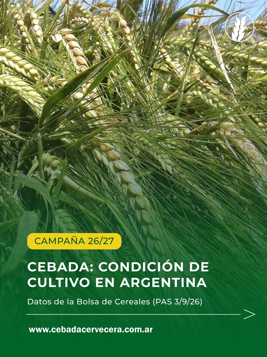 CebadaCervecera's tweet photo. 🌾 #Cebada | Campaña 26/27

Compartimos los últimos datos de la @Bolsadecereales sobre el estado de los cultivos.

✅ 96 % del área presenta condición Normal/Buena

💧 98 % registra condición hídrica Adecuada/Óptima https://t.co/VS682ibfXm
