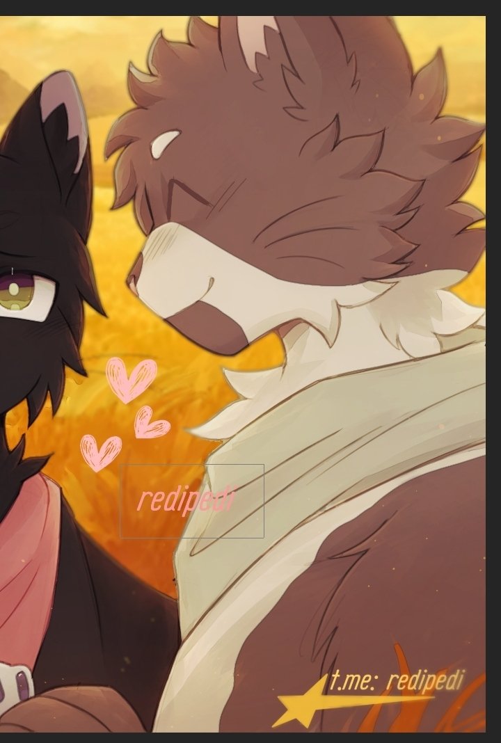 Radiance_woof's tweet photo. gay cats moment 💀
#wctwt #ravenpaw #barley https://t.co/11OJbpFRjM